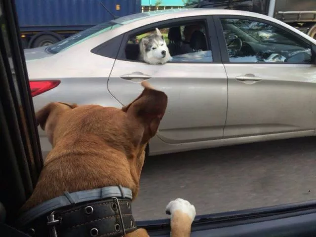 Picdump 157 - #12 