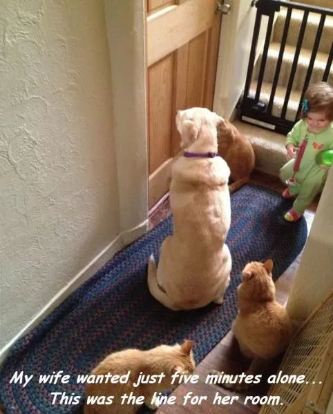 Picdump 157 - #2 