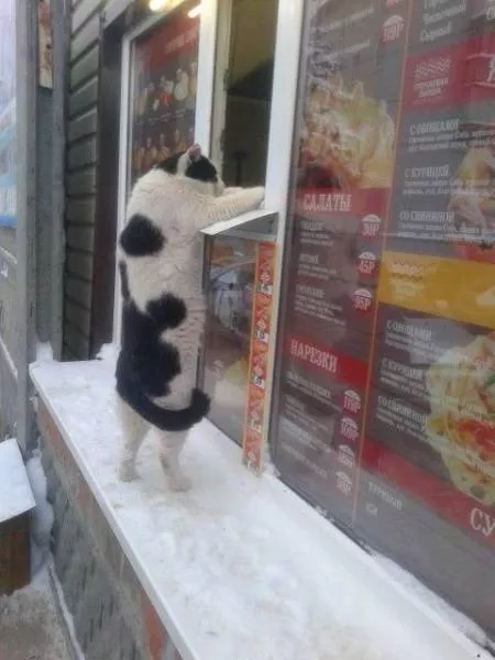 Picdump 157 - #45 