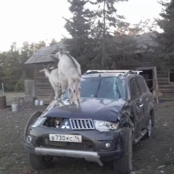 Picdump 157 - #8 