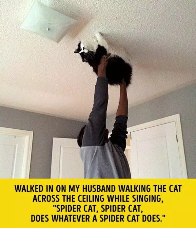 La difference entre les hommes et les femmes - #5 