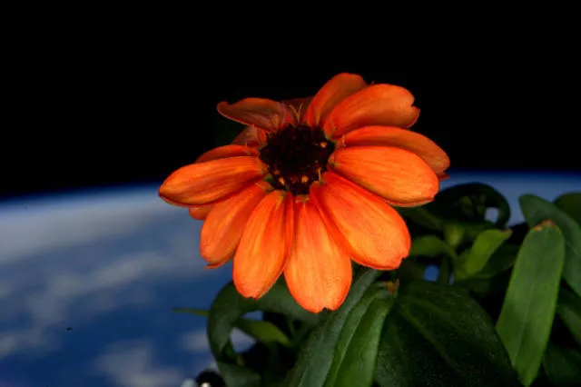 The best photos of the space taken by astronaut scott kelly - #10 