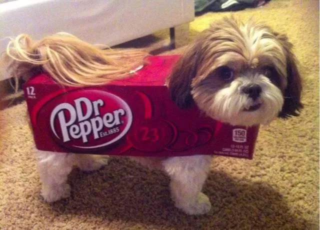 Picdump 158 - #1 