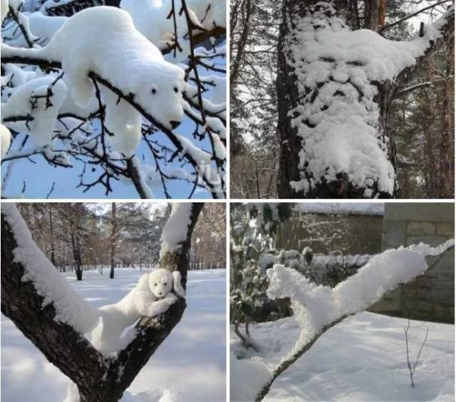 Picdump 158 - #2 