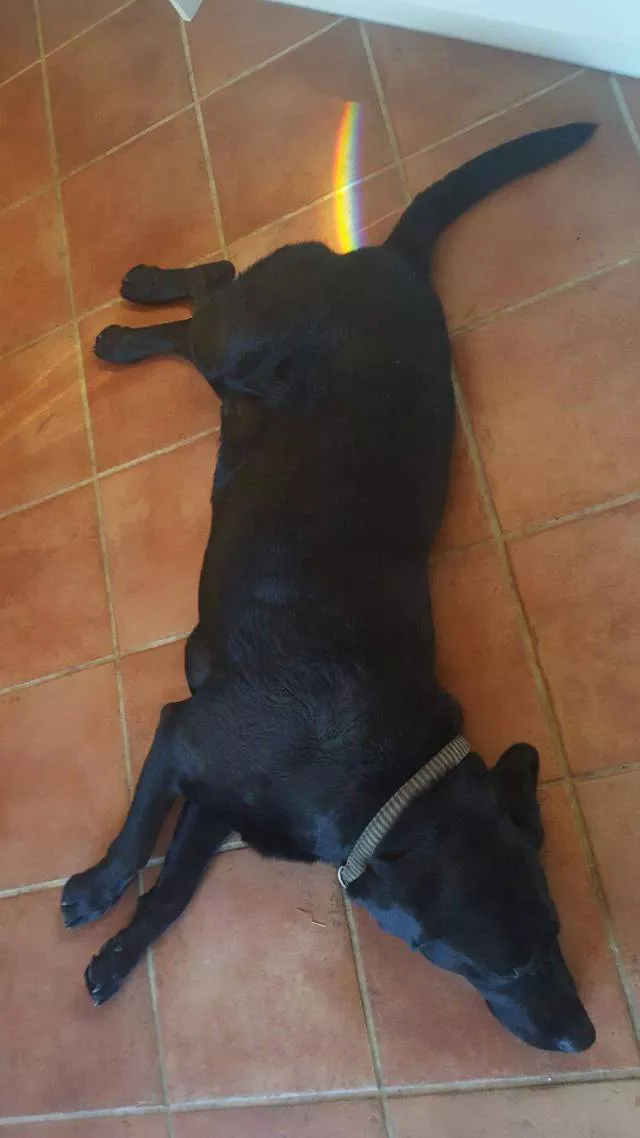 Picdump 158 - #23 