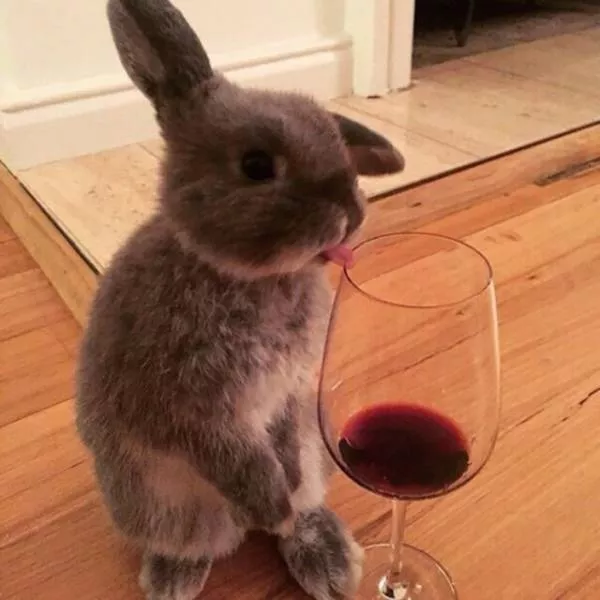 Picdump 158 - #29 