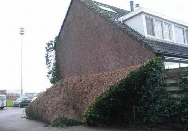Picdump 158 - #7 