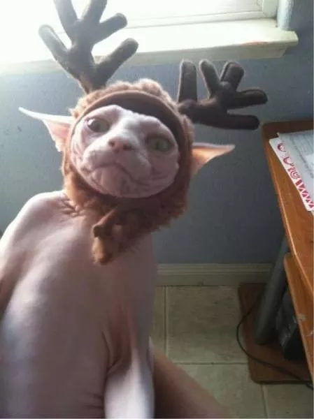 Picdump 159 - #28 Picdump 159 - #28