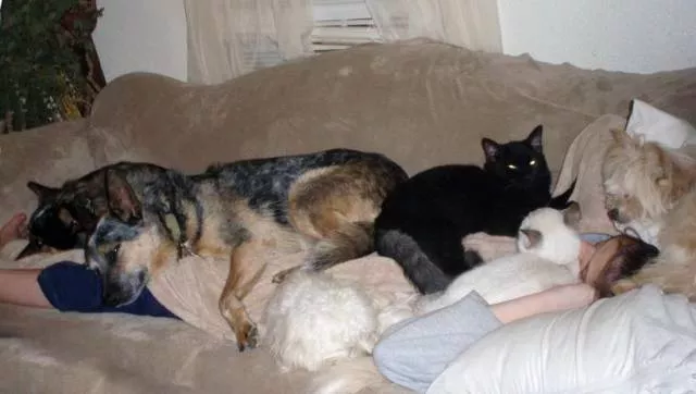 Picdump 159 - #47 