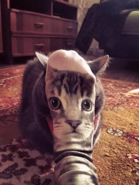 Impressive photos and especially without touching - #22 