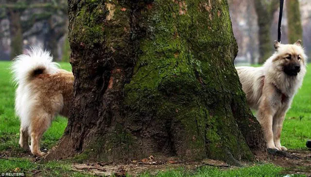 Impressive photos and especially without touching - #35 