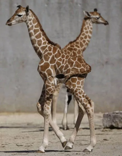 Des photos impressionnantes et surtout sans retouches - #37 