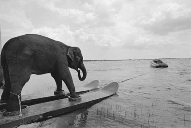 A collection of beautiful picture to start your week - #10 