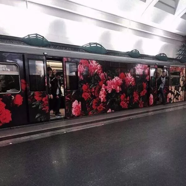 A collection of beautiful picture to start your week - #14 