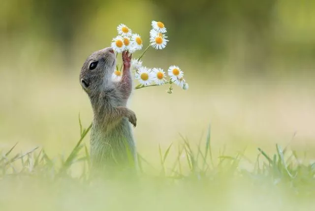 A collection of beautiful picture to start your week - #15 