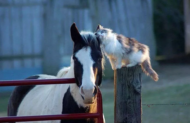 A collection of beautiful picture to start your week - #21 