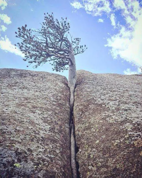 A collection of beautiful picture to start your week - #28 