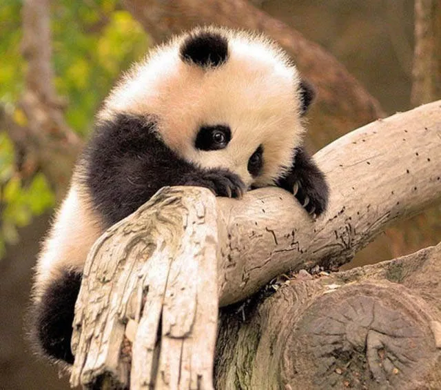 A collection of beautiful picture to start your week - #31 