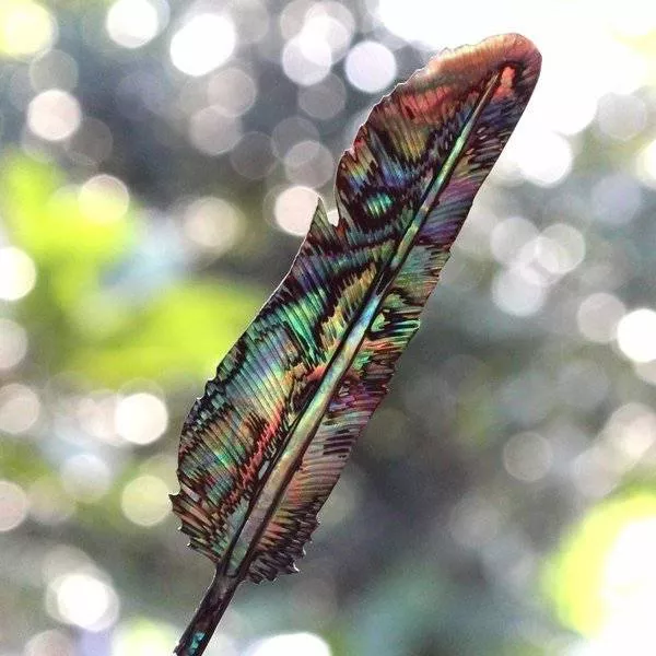 A collection of beautiful picture to start your week - #32 
