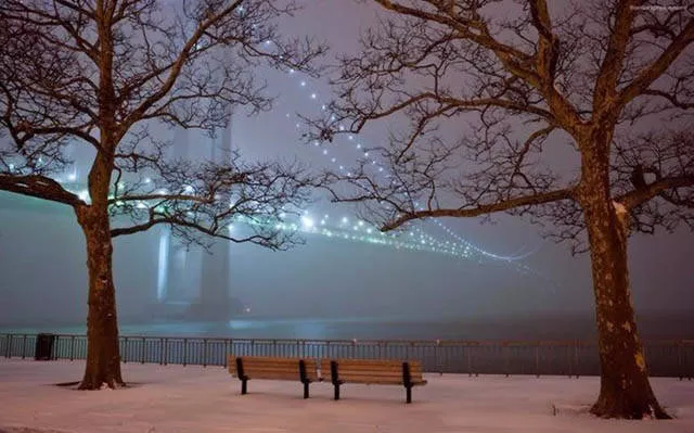 A collection of beautiful picture to start your week - #37 