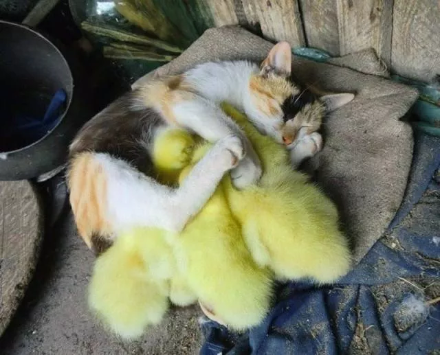 A collection of beautiful picture to start your week - #39 