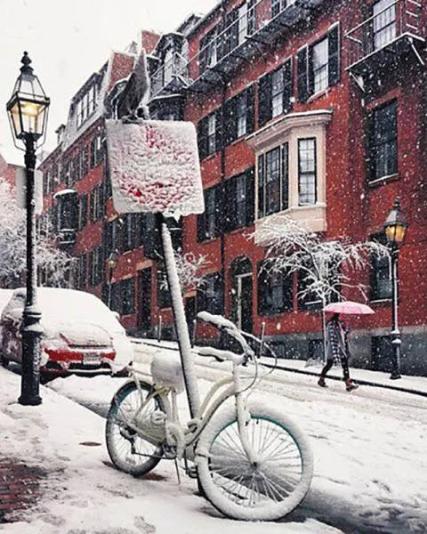A collection of beautiful picture to start your week - #5 