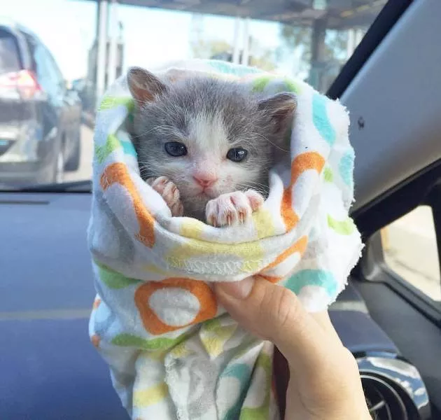 A collection of beautiful picture to start your week - #7 
