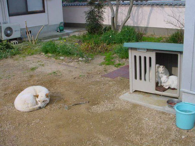 Picdump 160 - #21 