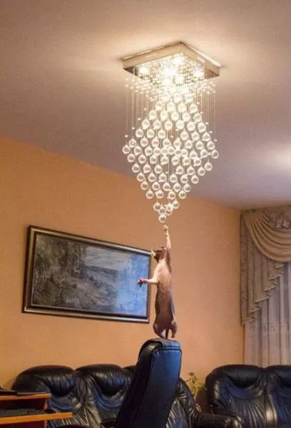 Picdump 160 - #22 