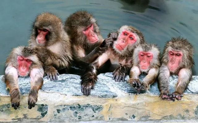 Picdump 160 - #37 