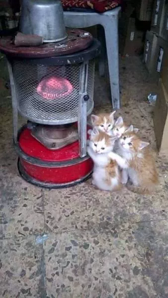 Picdump 160 - #50 