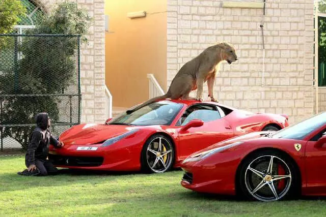 Picdump 160 - #58 
