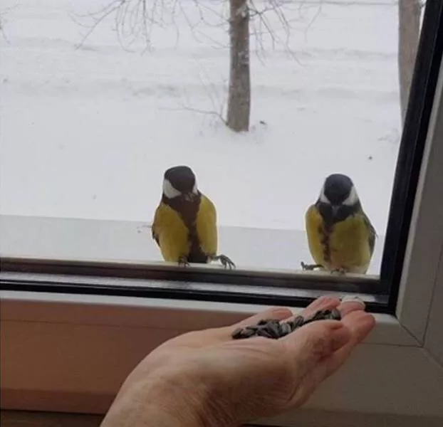 Picdump 160 - #86 