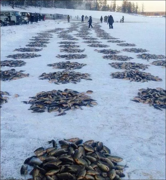 Picdump 160 - #87 
