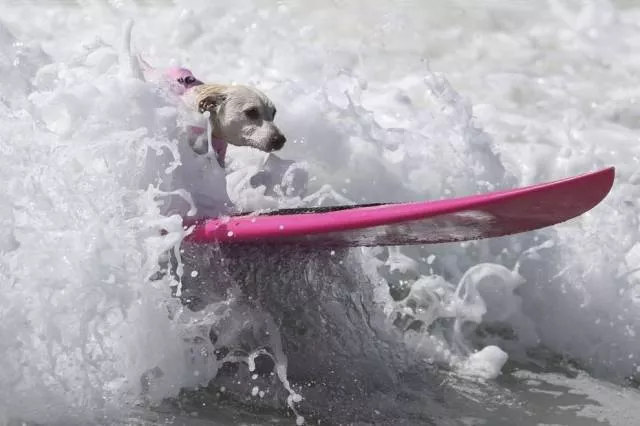 Picdump 160 - #92 