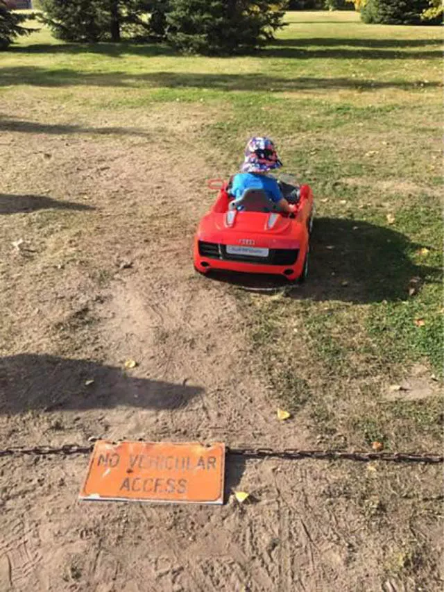 They do not like to follow the rules - #15 
