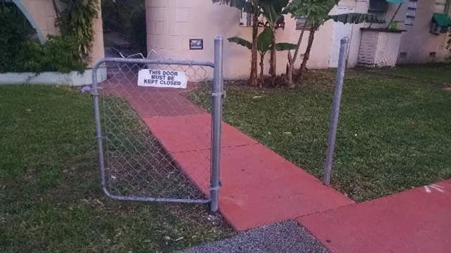 They do not like to follow the rules - #2 
