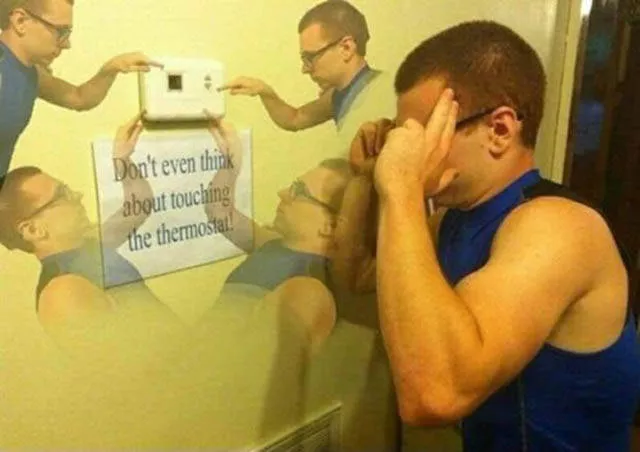 They do not like to follow the rules - #20 