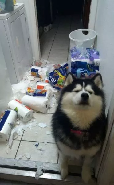 Picdump 43 - #105 