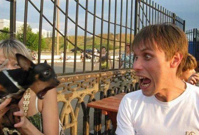 Picdump 43 - #110 