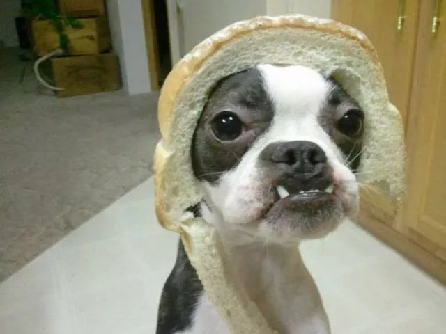 Picdump 43 - #112 