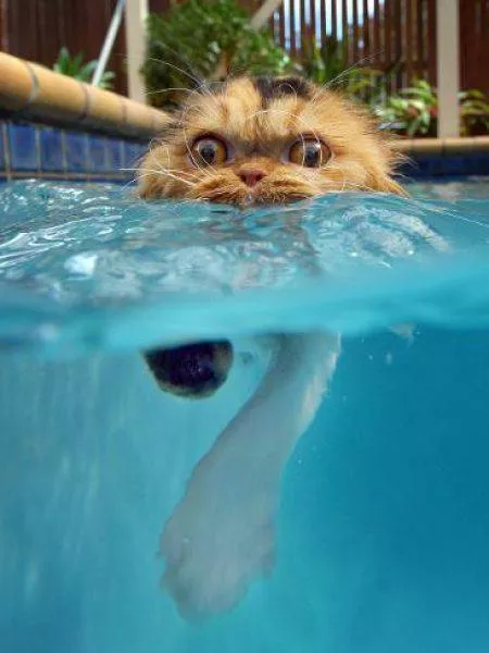 Picdump 43 - #126 