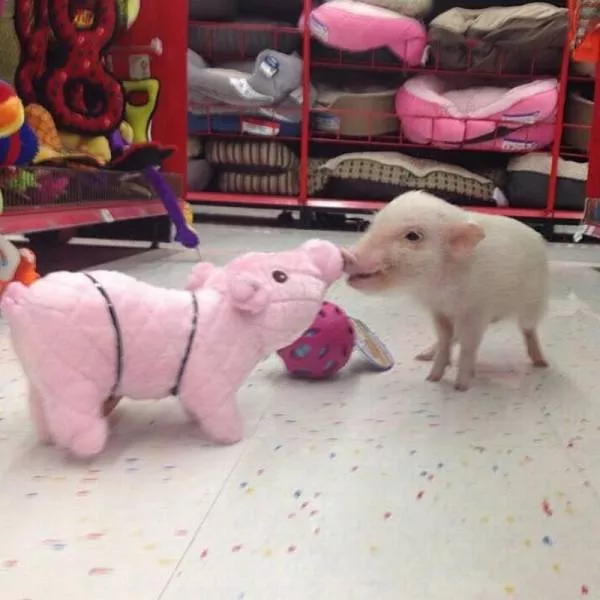 Picdump 43 - #49 