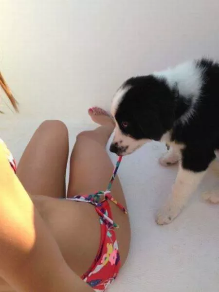 Picdump 43 - #58 
