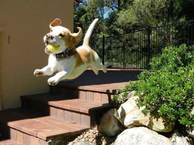 Picdump 43 - #61 