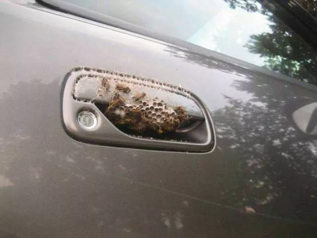 Picdump 43 - #82 