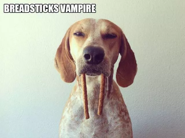 Picdump 43 - #88 