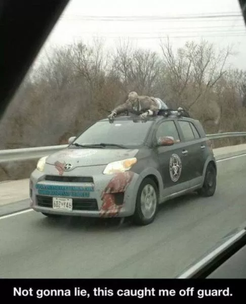 Picdump 43 - #91 