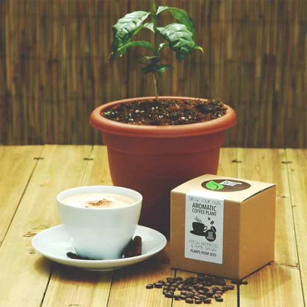 Great gift ideas for the coffee fan - #13 