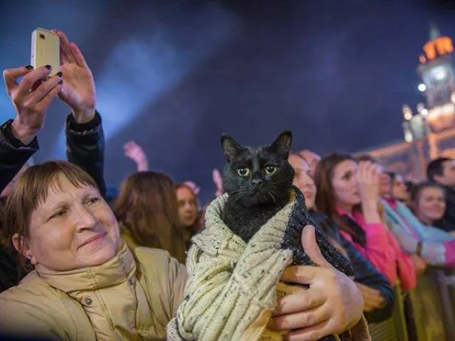 Picdump 161 - #17 
